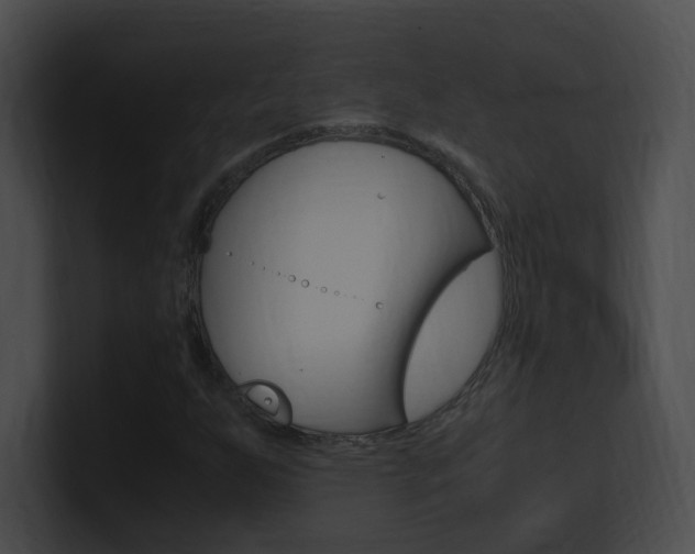 X0000101171255200806270746