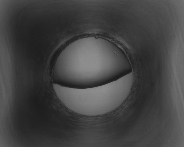 X0000101171256200806270746