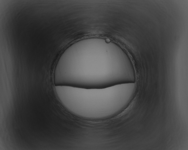 X0000101171257200806270746