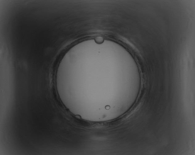X0000101171259200806270746