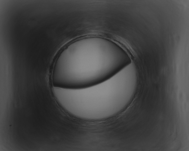 X0000101171260200806270746