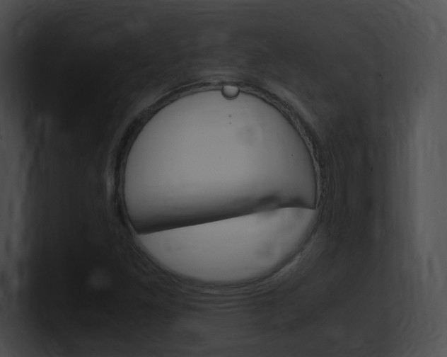 X0000101171261200806270746