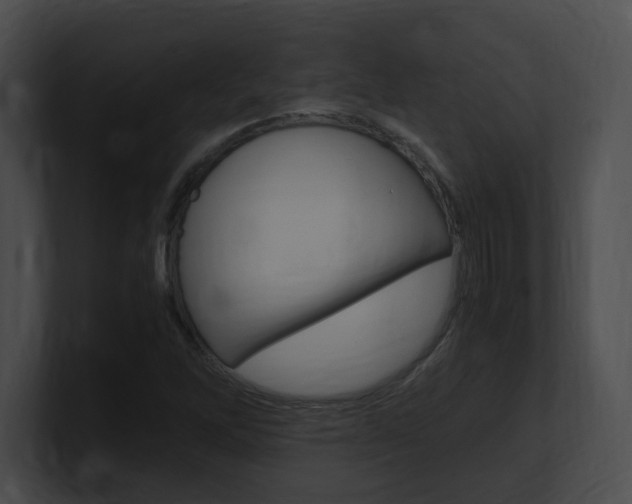 X0000101171262200806270746