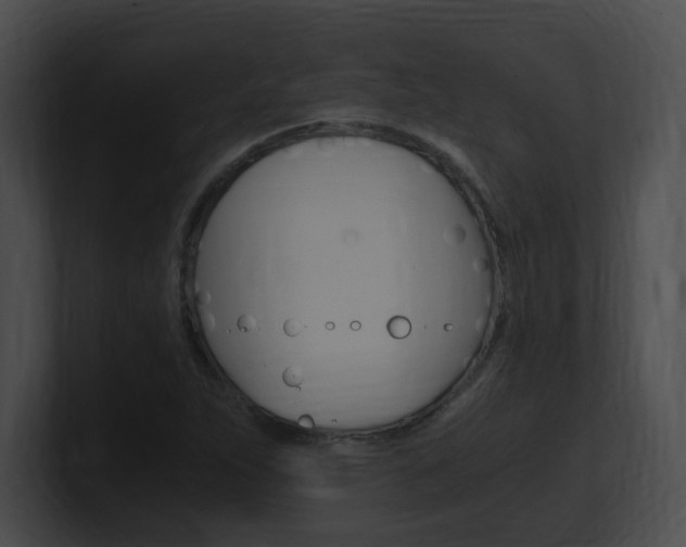 X0000101171263200806270746