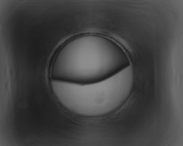 X0000101171264200806270746