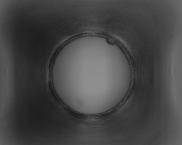 X0000101171267200806270746