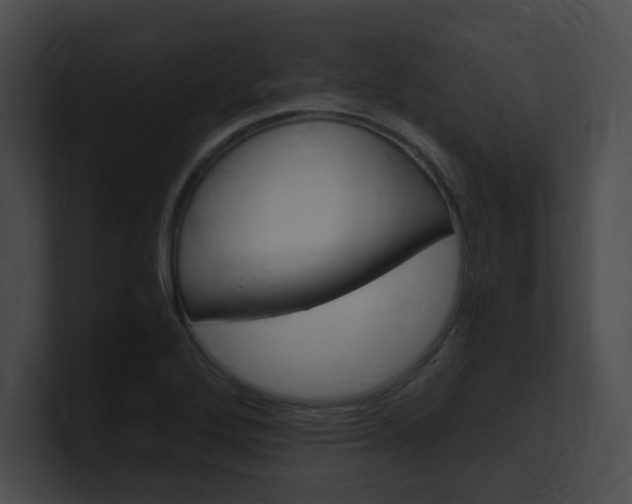 X0000101171272200806270746