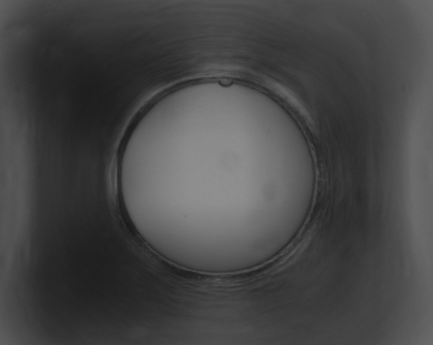 X0000101171275200806270746