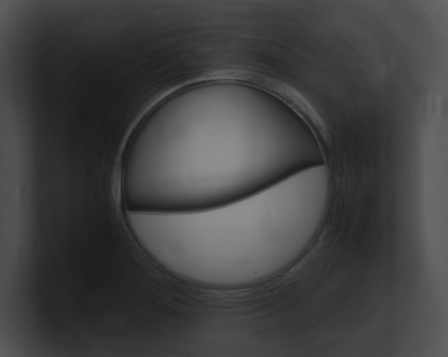 X0000101171276200806270746
