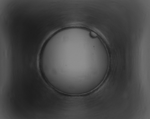 X0000101171277200806270746