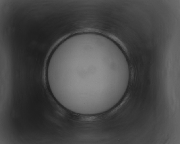 X0000101171278200806270746