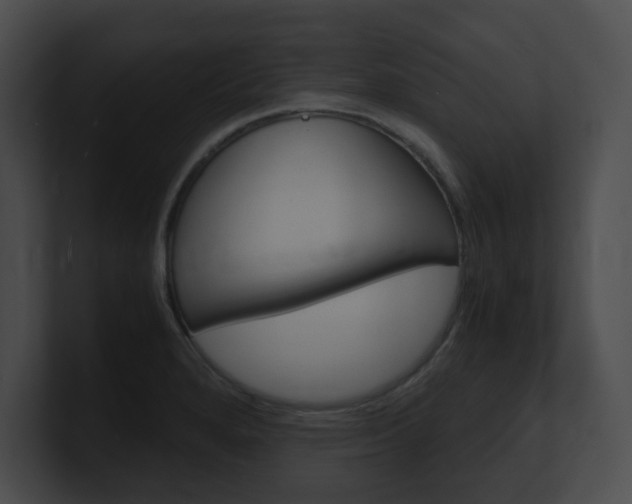 X0000101171280200806270746