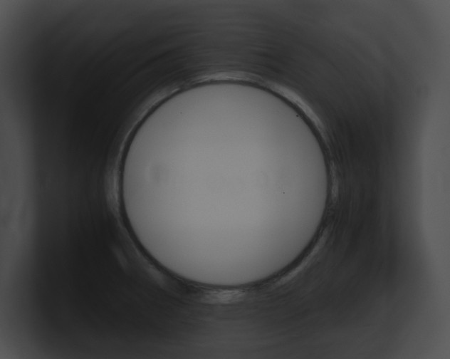 X0000101171282200806270746