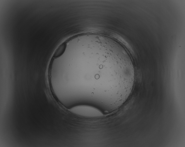 X0000101171283200806270746