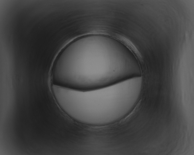 X0000101171284200806270746
