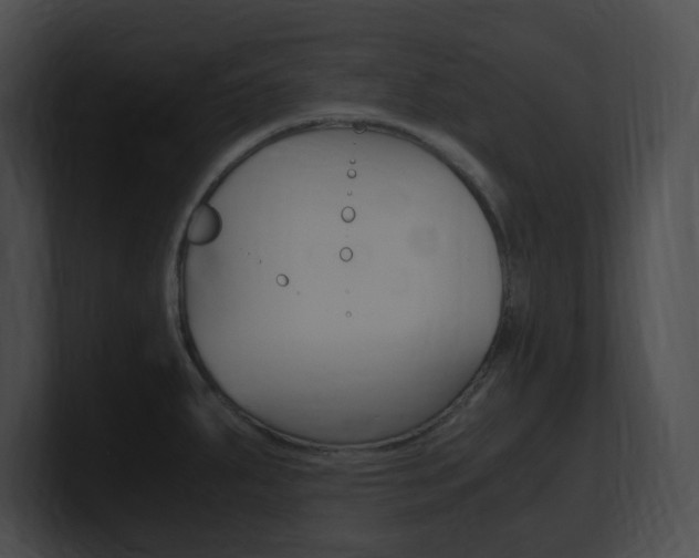X0000101171287200806270746