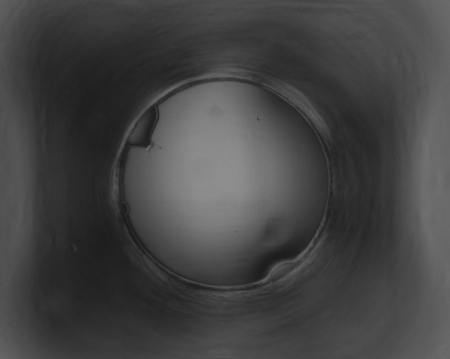 X0000101171292200806270746