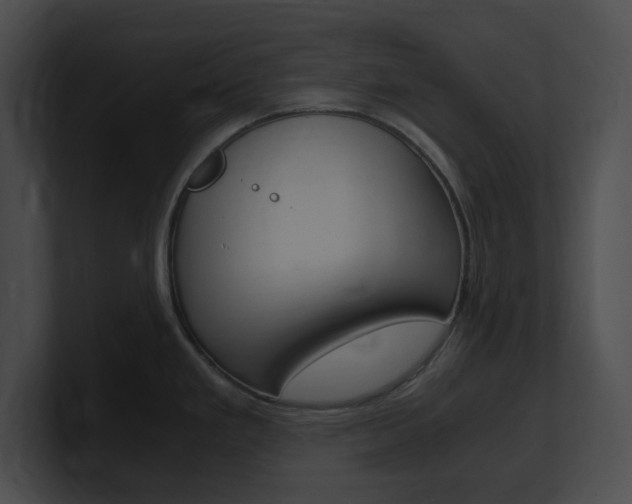 X0000101171293200806270746