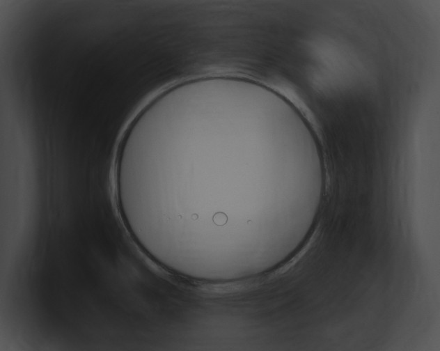 X0000101171294200806270746