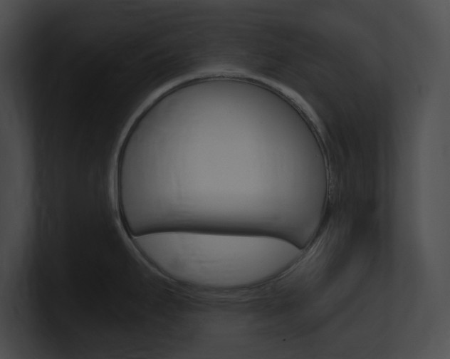 X0000101171295200806270746