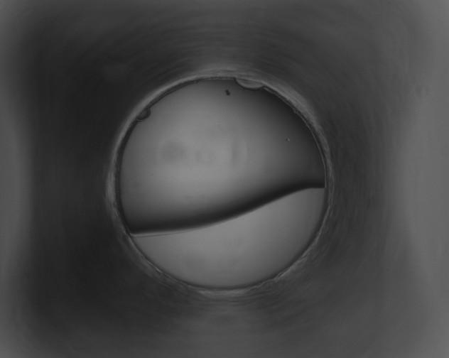 X0000101171296200806270746
