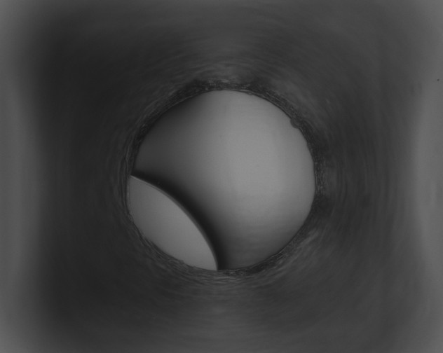 X0000101171297200806270745