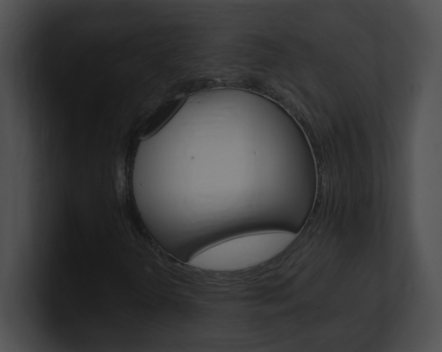 X0000101171298200806270745