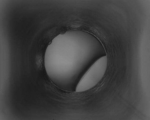 X0000101171299200806270745