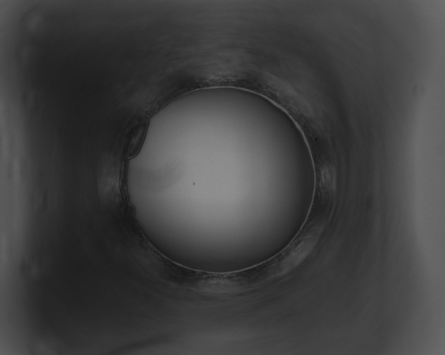 X0000101171300200806270745