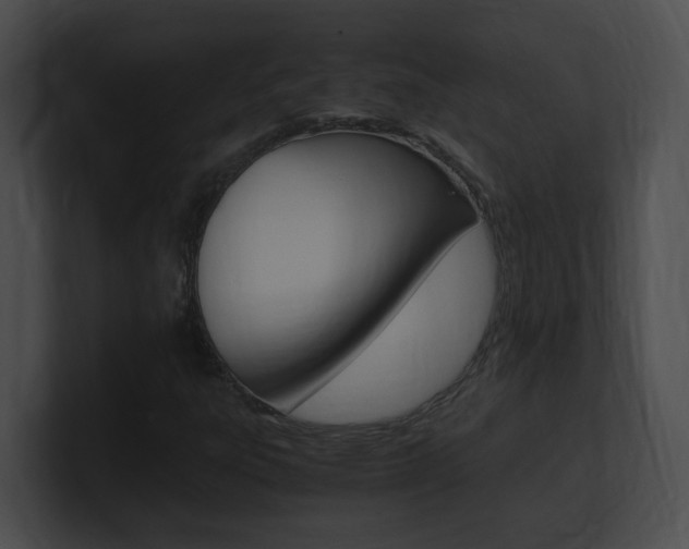 X0000101171303200806270745
