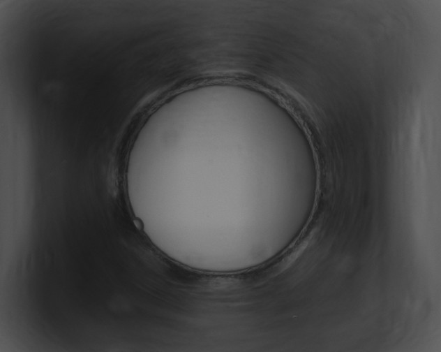 X0000101171306200806270745