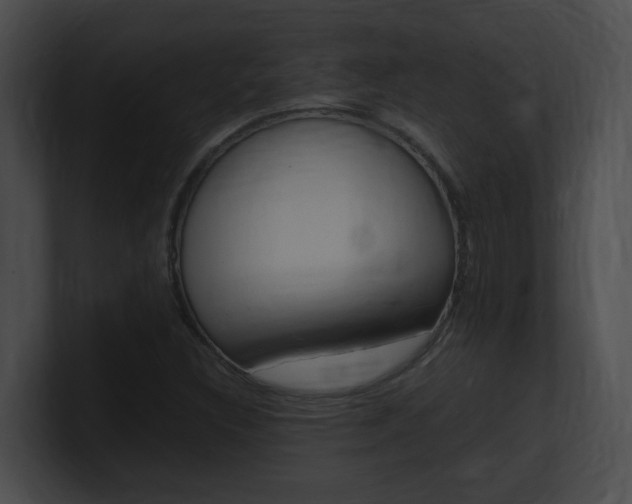 X0000101171308200806270745