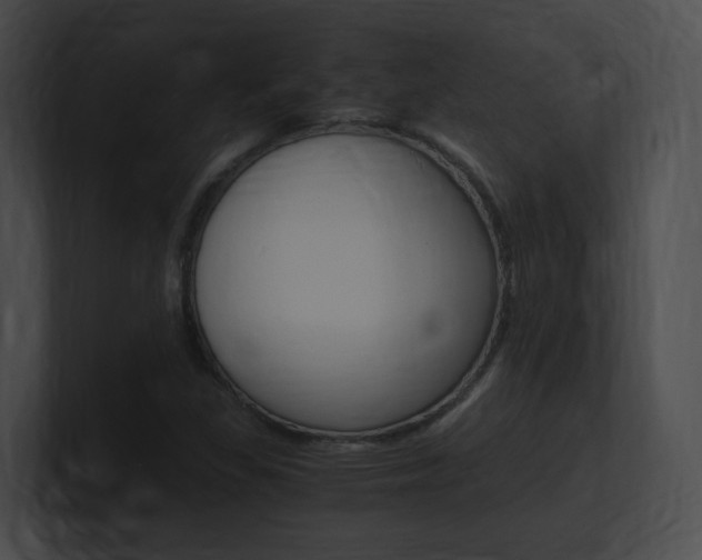 X0000101171309200806270745