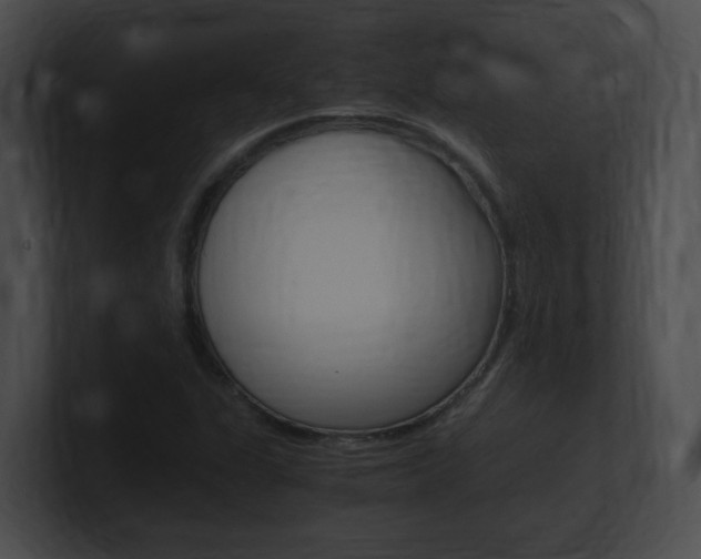 X0000101171311200806270745