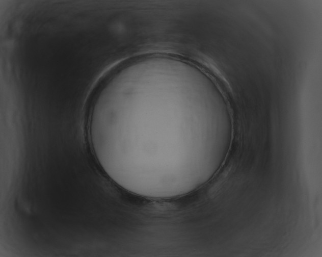 X0000101171312200806270745