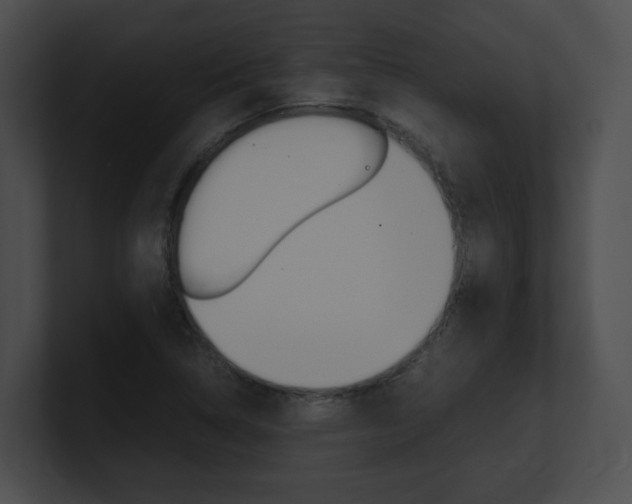 X0000101171314200806270745
