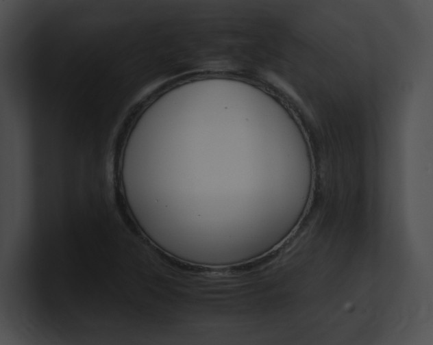X0000101171315200806270745