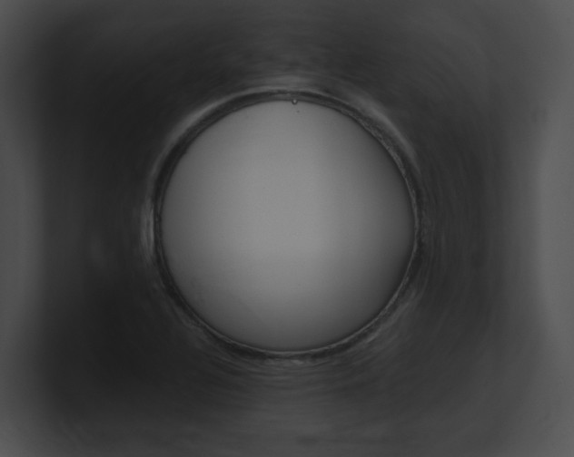 X0000101171320200806270745