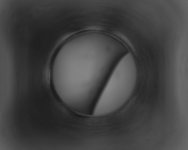 X0000101171323200806270745