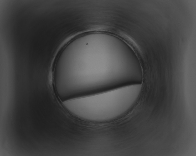 X0000101171324200806270745