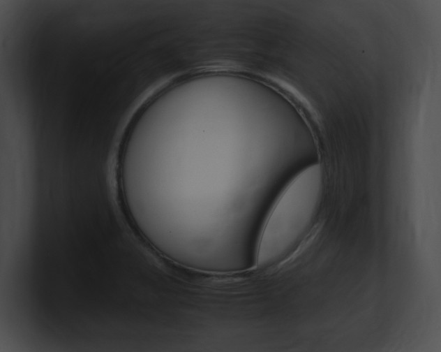X0000101171325200806270745