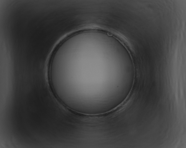 X0000101171326200806270745