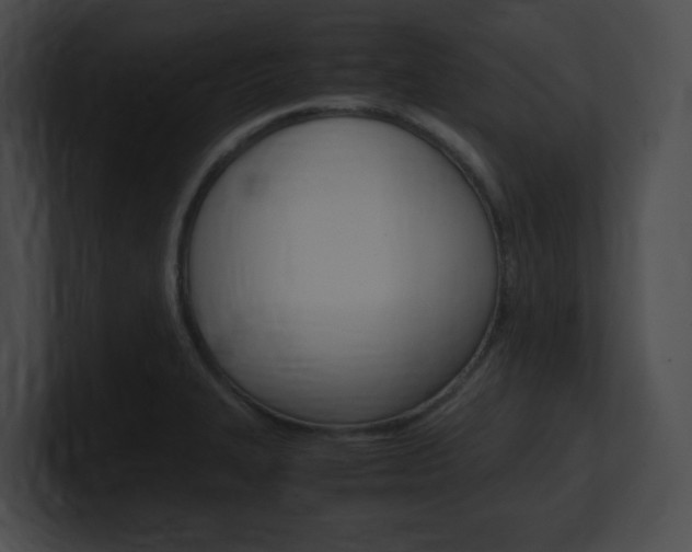 X0000101171327200806270745