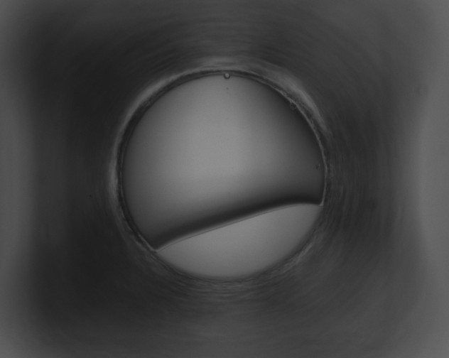 X0000101171328200806270745