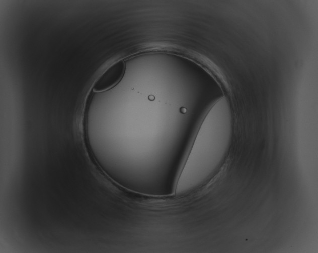 X0000101171330200806270745