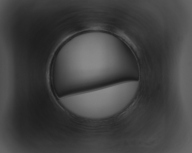 X0000101171331200806270745
