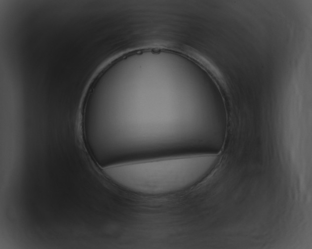 X0000101171332200806270745