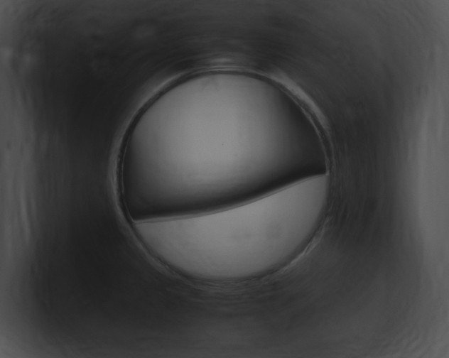 X0000101171333200806270745