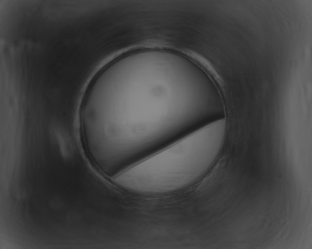 X0000101171335200806270745