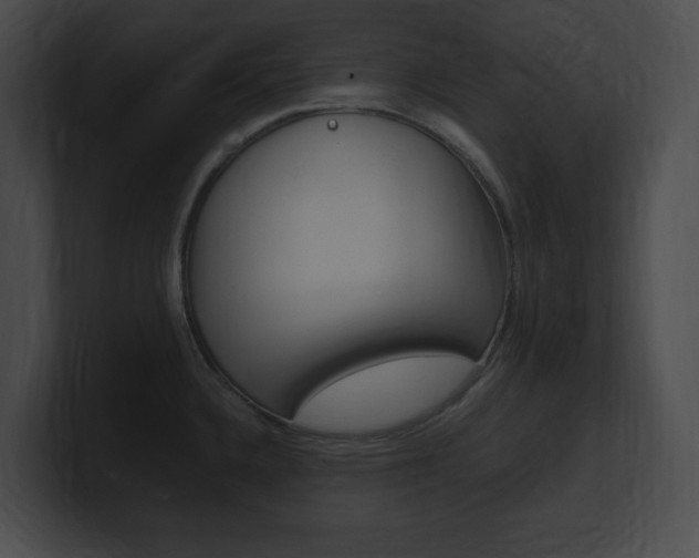 X0000101171336200806270745